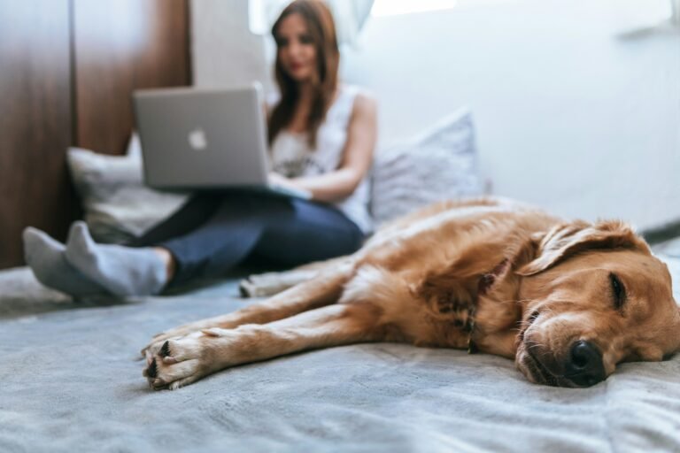 Looking for Passive Income? I’ve Tried It All. Here’s the Brutal Truth.